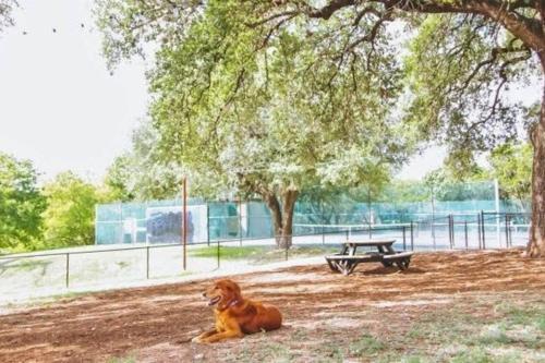 Apartamento The Barton Place At Zilker!