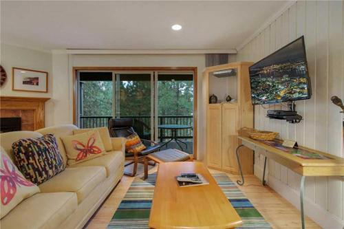 Ski House 111