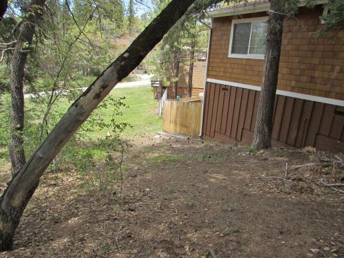 026 Mishka Cabin