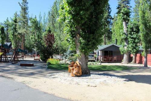 Gopher Cabin