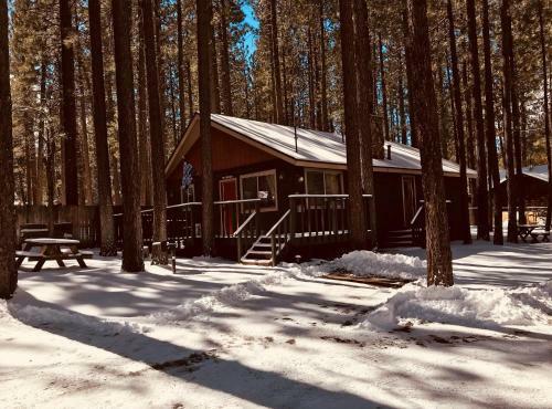 Bravo Big Bear Lodges