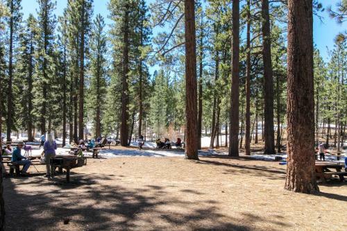 White Pine Cabin