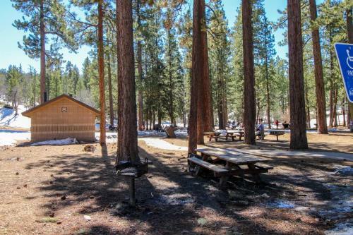 White Pine Cabin