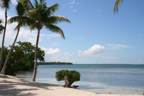 Sunshine Key King Travel Trailer 7