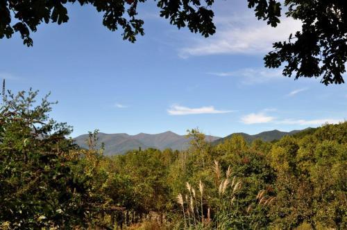 Bullhead Mountain Lodge Home