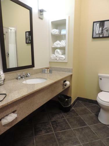 Hotel Wingate By Wyndham Bowling Green