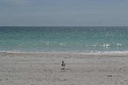 Seabreeze Home