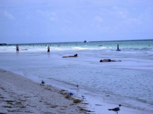 Apartamento Gulf Drive Two-bedroom Condo Unit D
