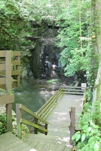 Chestnut Lodge
