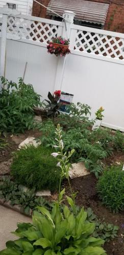 Apartamento Affordable Rooms In Shared House - Brooklyn