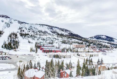 Snow Shoe 5a