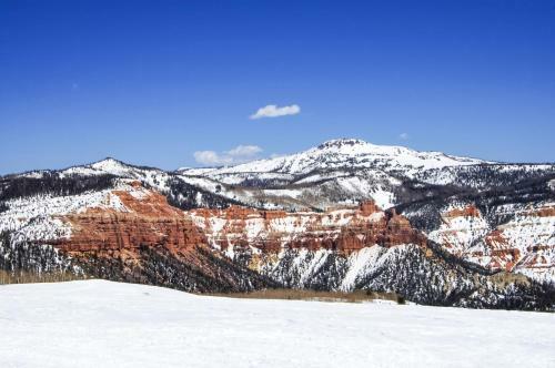 Apartamento Southview - #1b - Mountain Escape