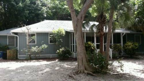 Captiva Sand Dollar