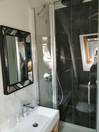 Hotel H�tel Du Cygne