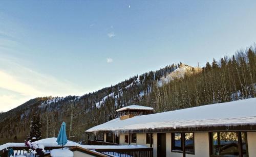 Brettelberg Slopeside Condos A9