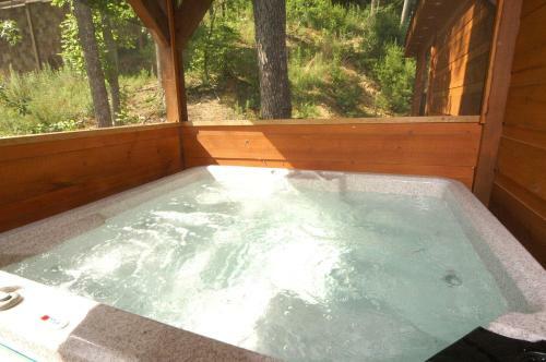 A Bear's Eye View #251 - Two Bedroom Cabin