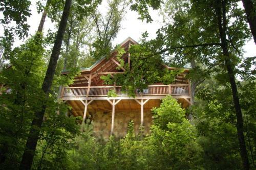 A Bear's Eye View #251 - Two Bedroom Cabin