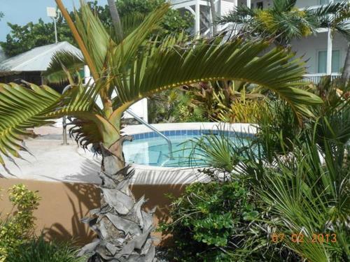 Apartamentos Coconut Beach Resort