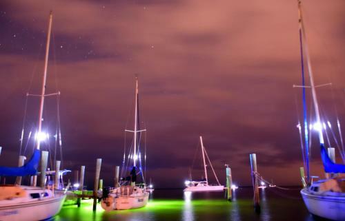 Hotel Key Largo Cottages