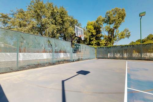 Tennis Lover's Dream