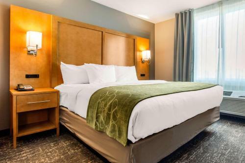 Hotel Comfort Suites North Charleston - Ashley Phosphate