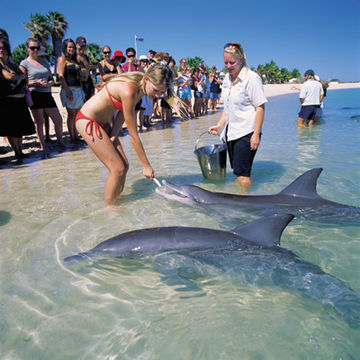 Hotel Monkey Mia Dolphin (jard�n)
