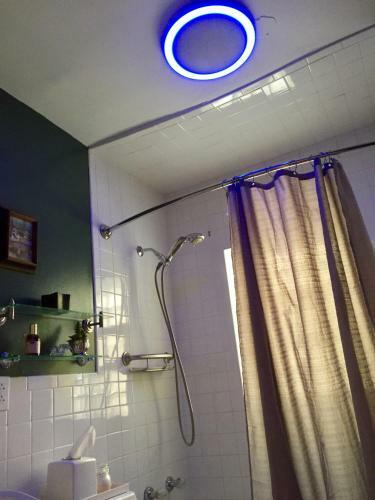 Wicker Park Apartment Near Division Blue Line