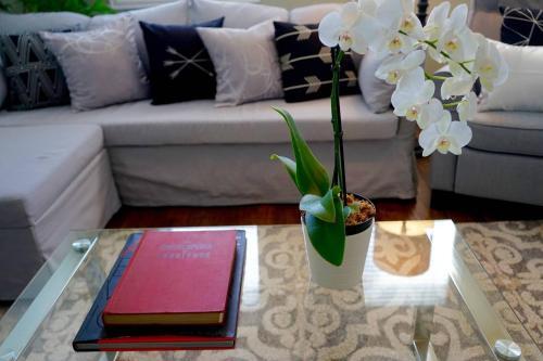 Apartamento A One-way Ticket To Comforttown