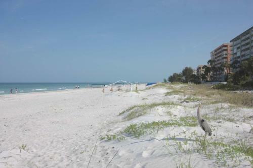 Apartamento Pelican Point Beach Suite