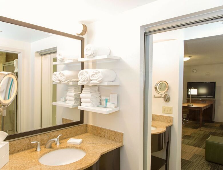 Hotel Hampton Inn & Suites Albany-downtown Ny