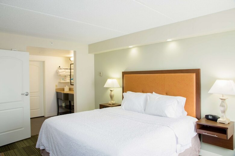 Hotel Hampton Inn & Suites Albany-downtown Ny