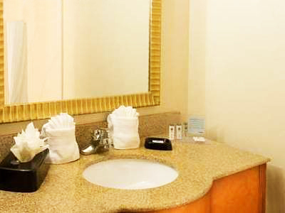 Hotel Hampton Inn Orlando-south Of Universal Studios