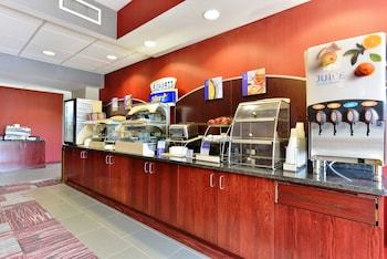 Hotel Hampton Inn Corning/painted Post