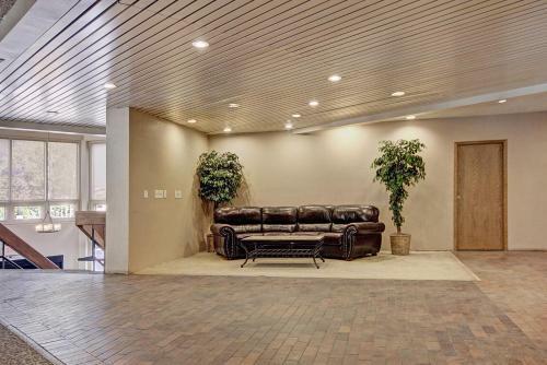 Mp522 Mountain Plaza Hotel Room