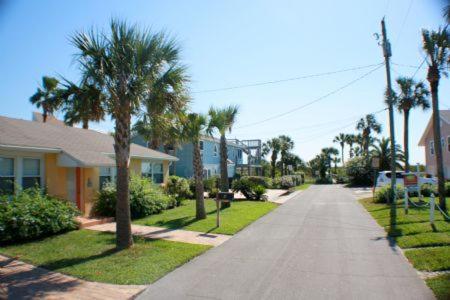Palm #5512 Home
