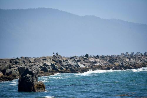 Crescent City Beach House