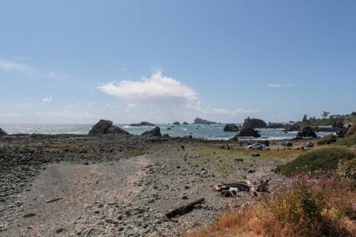Whales Playground