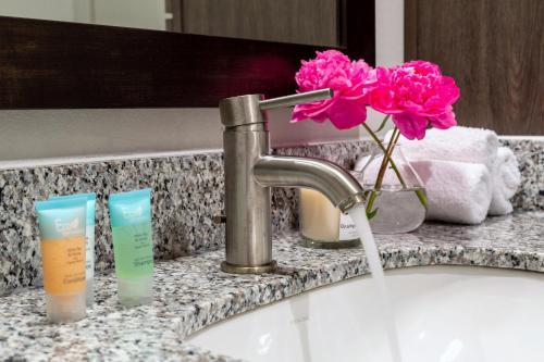 Apartamento Stay Alfred At Miro