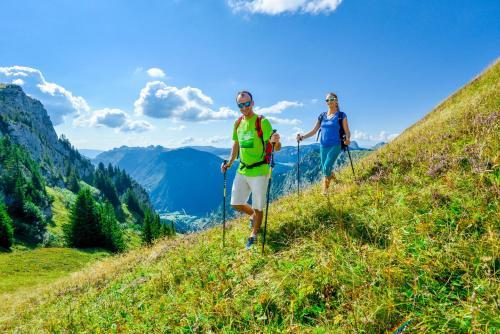 Hotel Alpen Roc