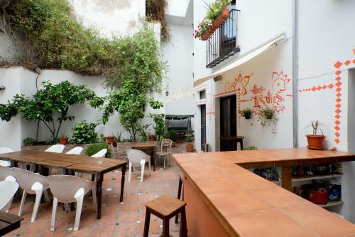 Hotel Oasis Backpackers Hostel Granada