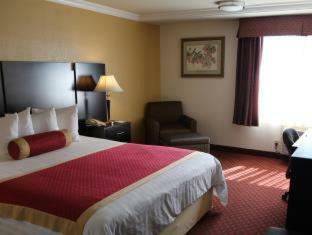 Hotel Best Western Plus South Bay Ho