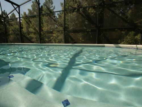Scrub Jay Home By Florida Dream Homes