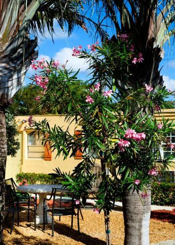 Posada Atlantic Hideaway