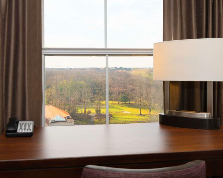 Hotel Hyatt Regency Long Island