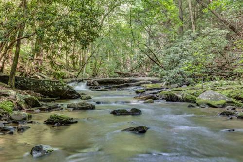 Ellijay Twin Falls