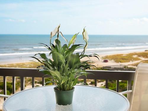 Apartamento Oceanfront Condo 2 King Master Suites