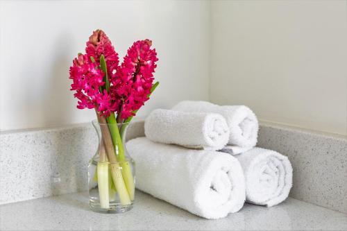 Apartamento Stay Alfred At The Republic
