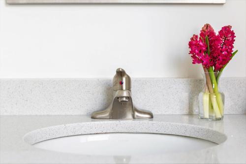 Apartamento Stay Alfred At The Republic