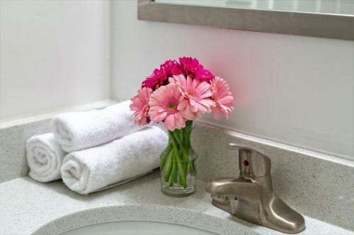 Apartamento Stay Alfred At The Republic