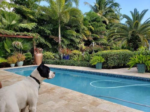 Apartamento Tropical Studio With Private Kitchen And Bath